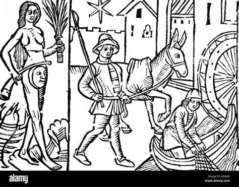  The Donkey Who Carried Tales! - A 16th Century French Folk Tale About Resilience and Unforeseen Destinies